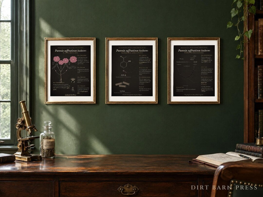 Three tree peony specimen plates on a green study wall